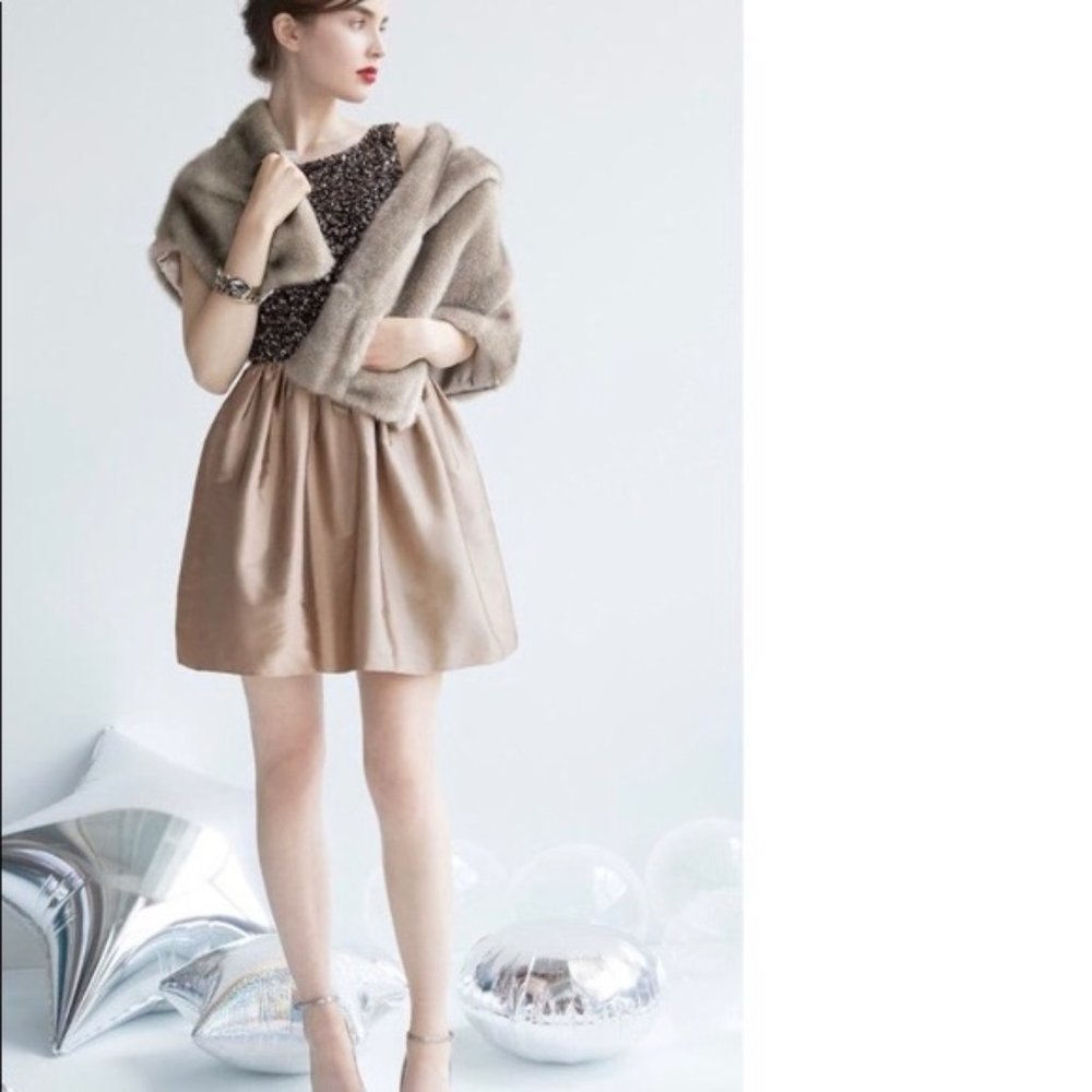 Adrianna Papell Beaded Taffeta Fit and Flare Dress